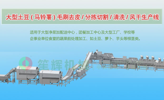 南部连续式土豆去皮清洗切割风干生产线